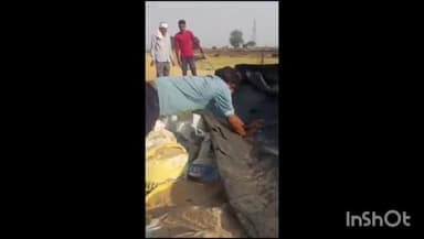 होशंगाबाद नगर: सुगमकुंज कॉलोनी के सामने एक खेत में निकला मॉनिटर लिजर्ड, सर्प मित्र ने रेस्क्यू कर पकड़ा