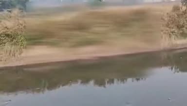 सलेमपुर: बीआरडी पीजी कॉलेज के पास कुर्ला नाले में मिला अज्ञात व्यक्ति का शव, मौके पर पहुंची पुलिस