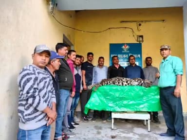 देवाल: देवाल विकासखंड के फल्दियागांव में बाघ का शव मिला, वन विभाग की टीम मौके पर पहुंची