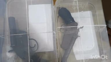 चित्तौड़गढ़: पुलिस ने अलग अलग कार्रवाई में पांडोली और रोलाहेड़ा से दो जनों को दो देशी कट्टे तथा चार जिंदा कारतूस सहित दबोचा