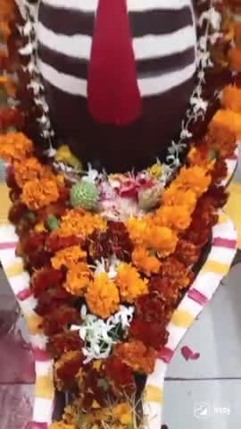 baba amriteshvar mahadev Bhavy darshan Vindhyachal mirzapur #amriteshwar_mahadev #mahadev