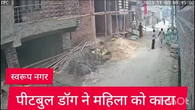 अलीपुर: स्वरूप नगर इलाके में पिटबुल डॉग ने महिला पर किया हमला,महिला घायल