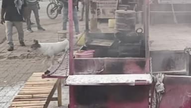 कानपुर: काकादेव में मोमोज के ठेले में लगी आग, पुलिसकर्मियों ने पाया आग पर काबू