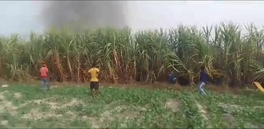 #मैनपुरी के थाना #औछा में #किसान नंदराम शाक्य के ईख के खेत में लगी आग