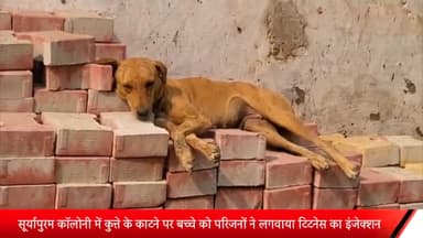 मेरठ: सूर्यापुरम कॉलोनी में कुत्ते के काटने पर बच्चे को लगाया गया टिटनेस का इंजेक्शन, 70 दिन बाद बच्चे की हुई मौत