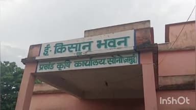 सोनो: सोनो किसान भवन में अनुदानित दर पर मिलेगा गेहूं का बीज, प्रखंड को पहली खेप में 60 क्विंटल गेहूं का बीज आवंटित