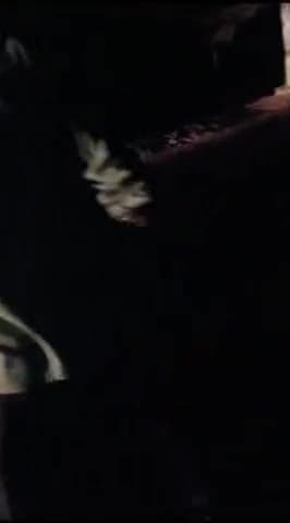 तिर्वा: भगत पूर्वा गांव में पैसे के लेनदेन को लेकर एक युवक के साथ की गई मारपीट, पुलिस से की गई शिकायत