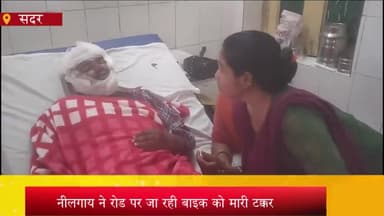 आज़मगढ़: बनकटा बाजार में नीलगाय की टक्कर से बाइक सवार दो युवक गंभीर रूप से हुए घायल, जिला अस्पताल में भर्ती