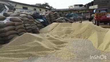 कुरवाई: कृषि उपज मंडी में हुई बंपर अनाज की आवक, त्योहारों व चुनावी अवकाश के चलते आगामी 10 दिन तक मंडी में नही होगी नीलामी