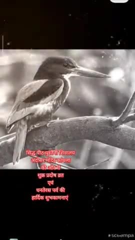 #news धनतेरस पर्व एवं शुक्र प्रदोष व्रत की हार्दिक शुभकामनाएं 🌹🌹#हर_हर_महादेव🚩#चलो_अंदोसर🚩