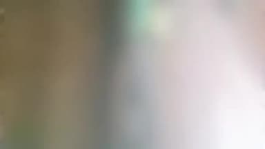 सहारनपुर: शेखपुरा कदीम की डेरा बंदा नवाज वाली गली में विद्युत पोल की चपेट में आने से एक गाय व 4 भेड़ो की मौके पर मौत