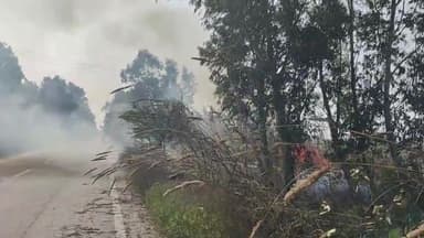 चरखी दादरी: पाबंदी के बावजूद जिले में जलाया जा रहा कचरा व फसल अवशेष, प्रदूषण स्तर में हुई बढ़ोतरी