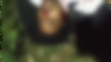 सहारनपुर: दिल्ली रोड सरस्वती विहार स्कूल के सामने कार और बाइक स्कूटी की भीषण टक्कर एक की मौत तीन लोग गंभीर रूप से घायल