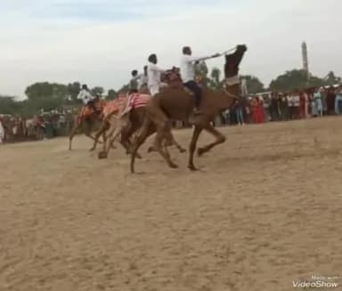 जालौर: जालौर के ड़ावल गांव में ऊंट दौड़ एवं घुड़ दौड़ प्रतियोगिता का हुआ आयोजन प्रशासनिक अधिकारी रहे उपस्थित