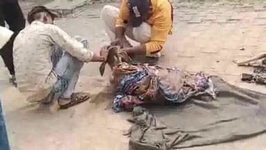 मथुरा: थाना गोविंद नगर क्षेत्र में अज्ञात ने नवजात गाय के बछड़े को नाले में फेंका, गोरक्षा दल कार्यकर्ताओं ने बचाई जान