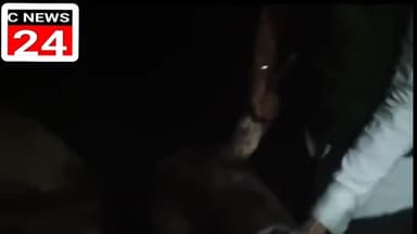 गजरौला: गजरौला बृजघाट गंगा नदी में पड़ा मिला गाय का सब  #hindi_news_live