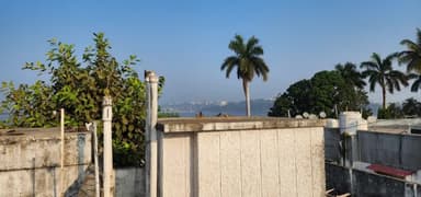 #FeedBirds 
#Humanity
#BeNoble