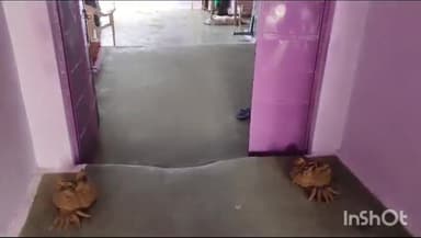 होशंगाबाद नगर: रायपुर में हर्षोल्लाह के साथ मनाया जा रहा भाई दूज का पर लोगों ने घरों के द्वार पर गोबर से बनाये दूज