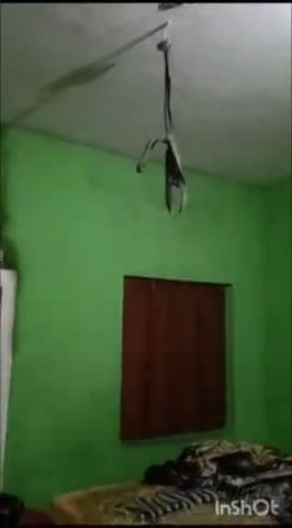 कोलारस: जगतपुर स्थित सरकारी क्वार्टर में फॉरेस्ट गार्ड ने सुसाइड करने का किया प्रयास, डीएफओ सुधांशु यादव पर लगाए गंभीर आरोप