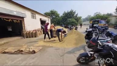 होशंगाबाद नगर: जिले की कृषि उपज मंडिया 20 नवंबर को होगी शुरू, मंडी बंद होने से कम दामों में बाहर उपज बेच रहे किसान