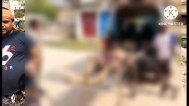 शेखपुरा: नरसिंहपुर गांव में पीट-पीटकर हत्या करने के मामले में मृतक की हुई पहचान