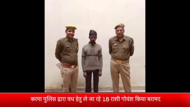 घोरावल: वध हेतु ले जाए जा रहे 18 राशि गोवंश को करमा पुलिस द्वारा किया गया बरामद; मौके से एक अभियुक्त गिरफ्तार