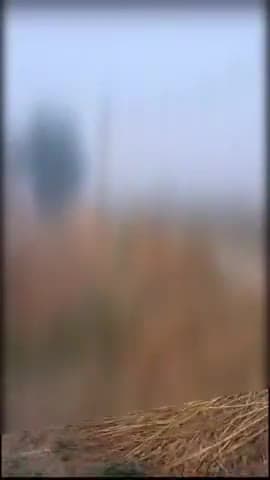 गोंडा: धानेपुर थाना क्षेत्र के एक गांव की रहने वाली महिला ने देवर पर छेड़छाड़ व मारपीट करने का लगाया आप की शिकायत