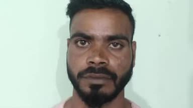 बलौदाबाज़ार: पलारी क्षेत्र में नाबालिक से दुष्कर्म का आरोपी को पलारी थाना पुलिस ने किया गिरफ्तार, भेजा जेल ..