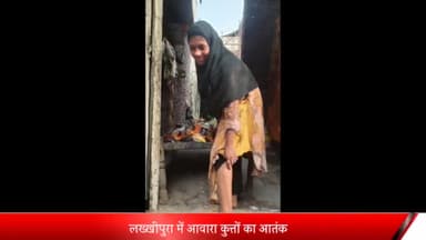 मेरठ: लख्खीपुरा में आवारा कुत्तों काआतंक,गली में जा रही युवती पर किया हमला युवती घायल