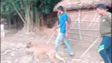 गोपालगंज: बैकुंठपुर थाना के अलग अलग जगहों पर पांच लोगों की हुई मौत, मामले में एक मृतक के पुत्र ने कराई प्राथमिकी, शराब से हुई मौत।