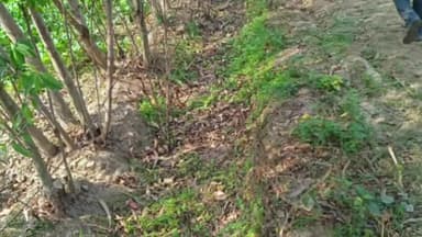 हरदोई: बघौली माइनर का टेल पूरी तरह से हुआ बंद, किसानों ने विधायक से की शिकायत, जल्द ही समस्या के निदान के निर्देश