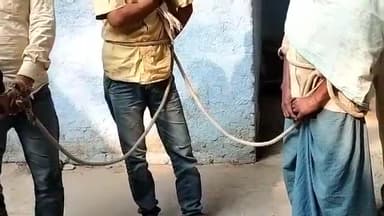 बेगूसराय: उत्पाद विभाग ने विभिन्न थाना क्षेत्र से 08 नशेड़ियों को किया गिरफ्तार, सदर अस्पताल में कराया कोरोना जांच