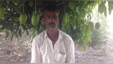 बदायूं: रमजानपुर गांव में किसान को आवारा सांड ने पटक पटक कर मौत के घाट उतारा, पुलिस ने शव का पोस्टमार्टम कराया