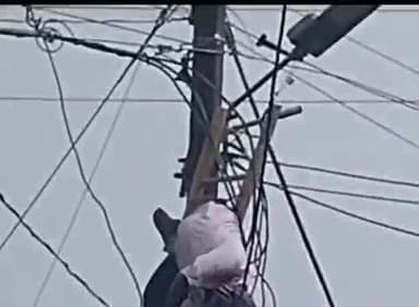 ग्वालियर गिर्द: लधेड़ी क्षेत्र में करंट लगते ही खंभे से लटका बिजली कर्मचारी
