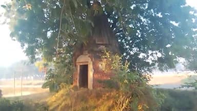 बरनाव,आयर, इचरी का सिवान पर स्थित नागा बाबा का मठिया का जीर्णोद्वार हो इसके लिए मैं प्रयास करूंगा।
भाई दिनेश