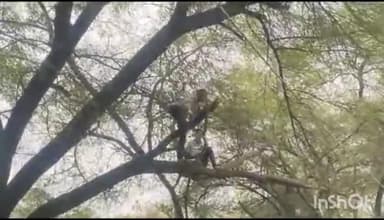 गुना: शहर और गुना ग्रामीण के कई इलाकों में आधा दिन बिजली सप्लाई रही बंद, विद्युत कंपनी के कर्मचारियों ने किया मेंटेनेंस