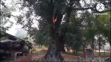 घाघरा: डुको पंचायत भवन के समीप बिशलकाय इमली पेड़ में लगी आग,दमकल पहुच आग पर किया काबू बुझाया