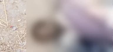 कैसरगंज: धनराजपुर मोड़ के पास अज्ञात शव  मिलने से इलाके में फैली सनसनी जांच में जुटी पुलिस