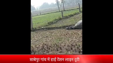 बीसलपुर: साबेपुर गांव में हाई टेंशन लाइन टूटी दो गायों की हुई दर्दनाक मौत बिजली विभाग के खिलाफ ग्रामीणों में फैला रोष