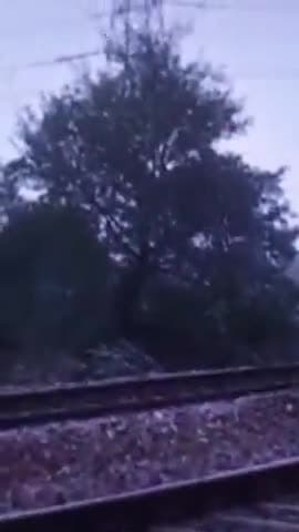 गाज़ियाबाद: इंद्रगढ़ी फाटक के पास ट्रेन की चपेट में आए तीन लोग, दो की मौके पर हुई मौत व एक की हालत गम्भीर