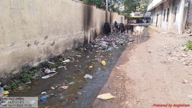 ग्राम पंचायत उन्हेल नागेश्वर राधा कृष्ण मंदिर मार्ग में लगा गंदगी का ढेर ग्राम पंचायत का इस ओर नही कोई ध्यान