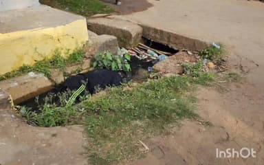 जगदलपुर: नयापारा में मॉर्निंग वॉक में निकले व्यक्ति का शव नाली पर मिला ,पुलिस जांच में जुटी