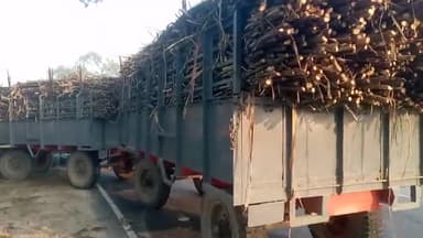 निघासन-खीरी पलिया स्टेट हाइवे स्थित तिरुपति बाला जी गन्ना क्रेसर दुर्घटना को दे रहा दावत। क्रेसर संचालक की दबंगई के आगे