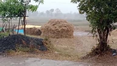 कटंगी: कटंगी क्षेत्र में बदला मौसम का मिजाज बे मौसम की बारिश ने किसानों की बढ़ाई चिंता धान की फसल भीगी