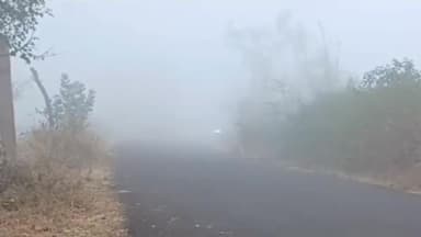 सुनेल: सुनेल तहसील क्षेत्र में छाया घना कोहरा, जनजीवन हुआ प्रभावित