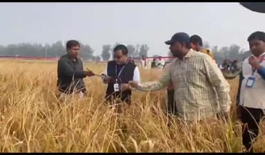 जगदीशपुर: संगम टोला में भोजपुर डीएम राजकुमार ने की धान की फसल की कटनी, स्थानीय मुखिया संजू देवी रही मौजूद