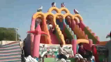 सिणधरी: सिणधरी मुख्यालय पर बजरंग पशु मेले का हुआ  शुभारंभ, उपखंड अधिकारी ने झंडारोहण कर किया शुभारंभ