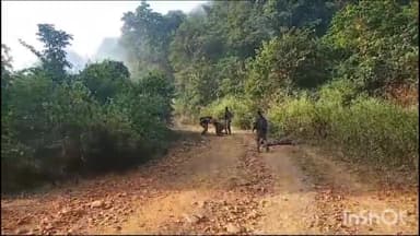 दंतेवाड़ा: बारसूर पल्ली मार्ग में पीएलजीए सप्ताह के दौरान बैनर पोस्टर हटाने के दौरान IED विस्फोट से सीआरपीएफ के दो जवान  घायल