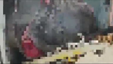 हिसार: दंडूर फ्लाईओवर के पास अज्ञात वाहन की टक्कर से एक भैंस की हुई मौत, दूसरी भैंस हुई घायल