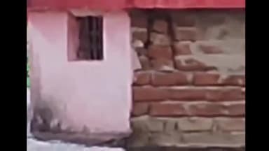 इकौना: श्रावस्ती में रुक रुककर हो रही बारिश में कुछ किसानों का होगा फायदा तो कुछ फसलें होंगी ख़राब